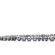 Peacock Grey Freshwater Pearls Necklace
