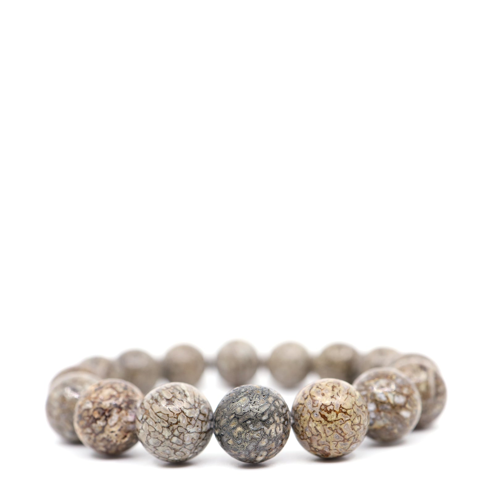 Dinosaur Bone Fossil Bracelet