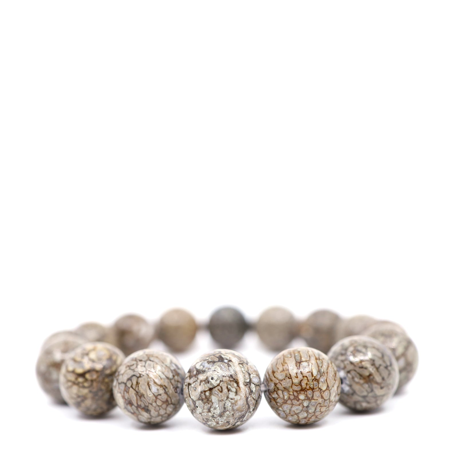 Dinosaur Bone Fossil Bracelet